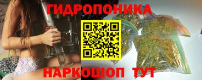 spice Гусев