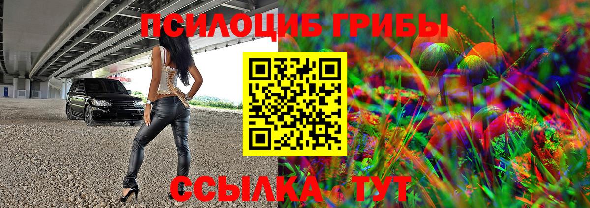 Галлюциногенные грибы MAGIC MUSHROOMS  Вход с VPN  Менделеевск 